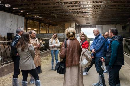 POSESTVO BOGATA foto David Štulc Zornik